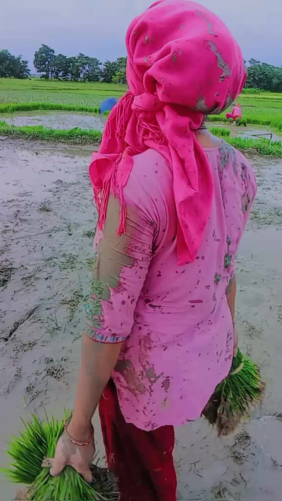@jeenachaudhary952