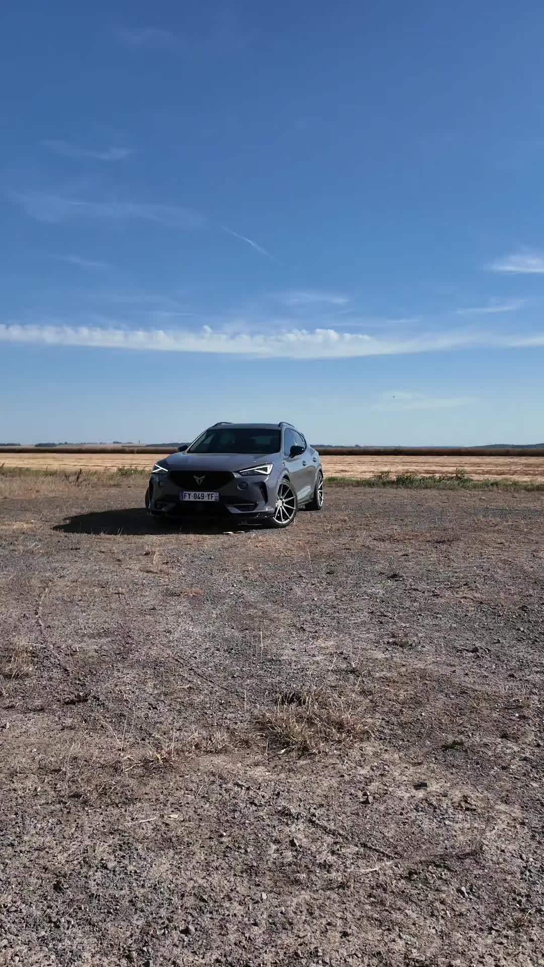 @LionCuprAFormentor