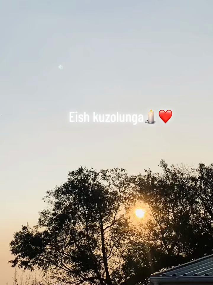 @anda_ec_cablover