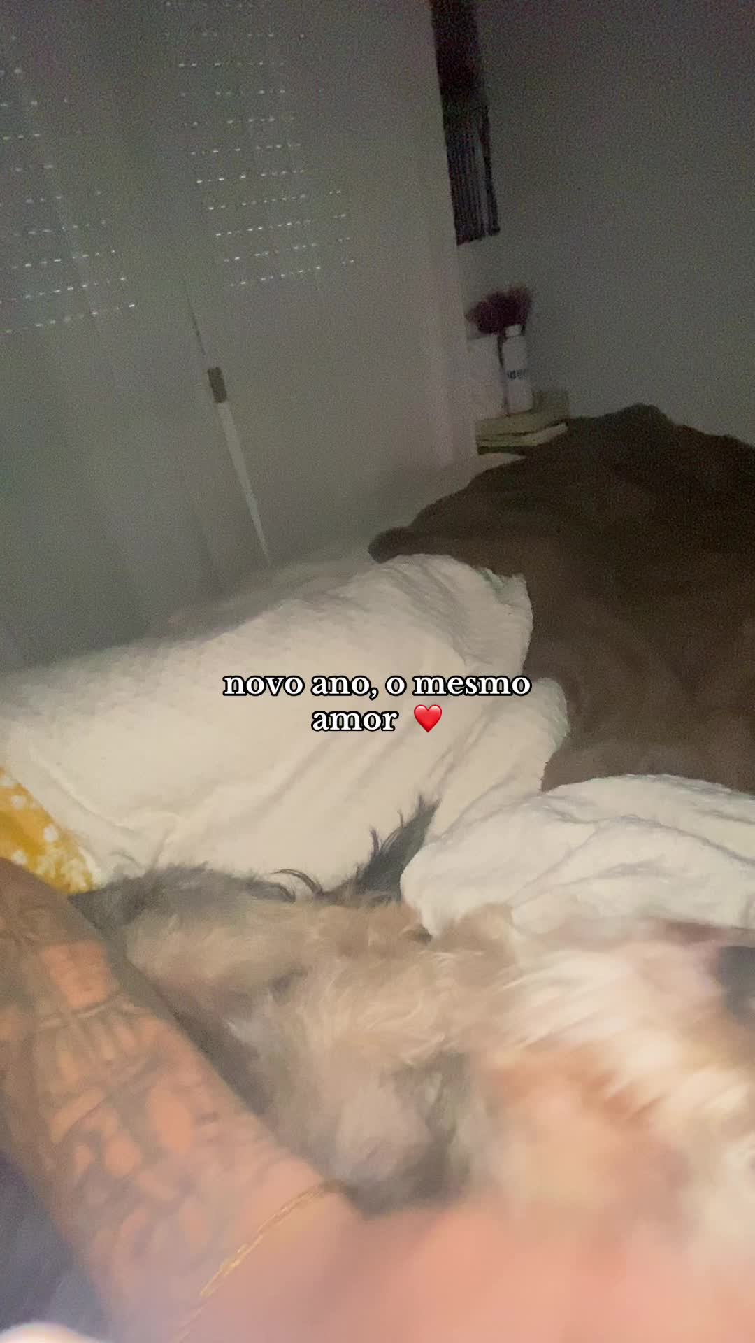 @𝓵’𝓭