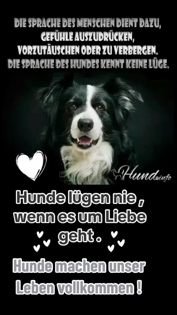 @❤️Ulla & Tiere❤️