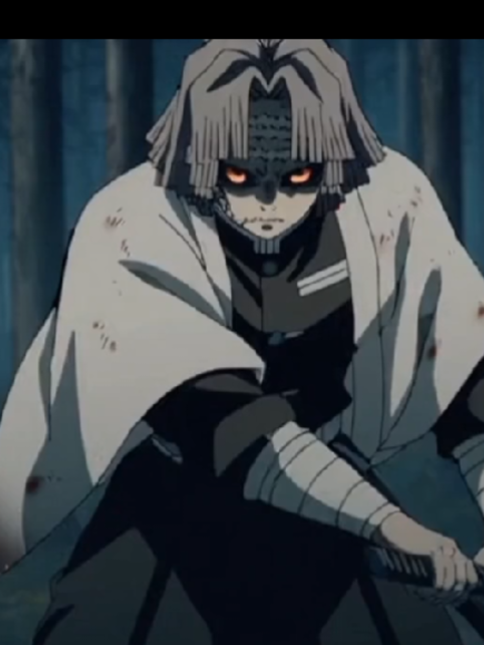 @Guerreros Anime