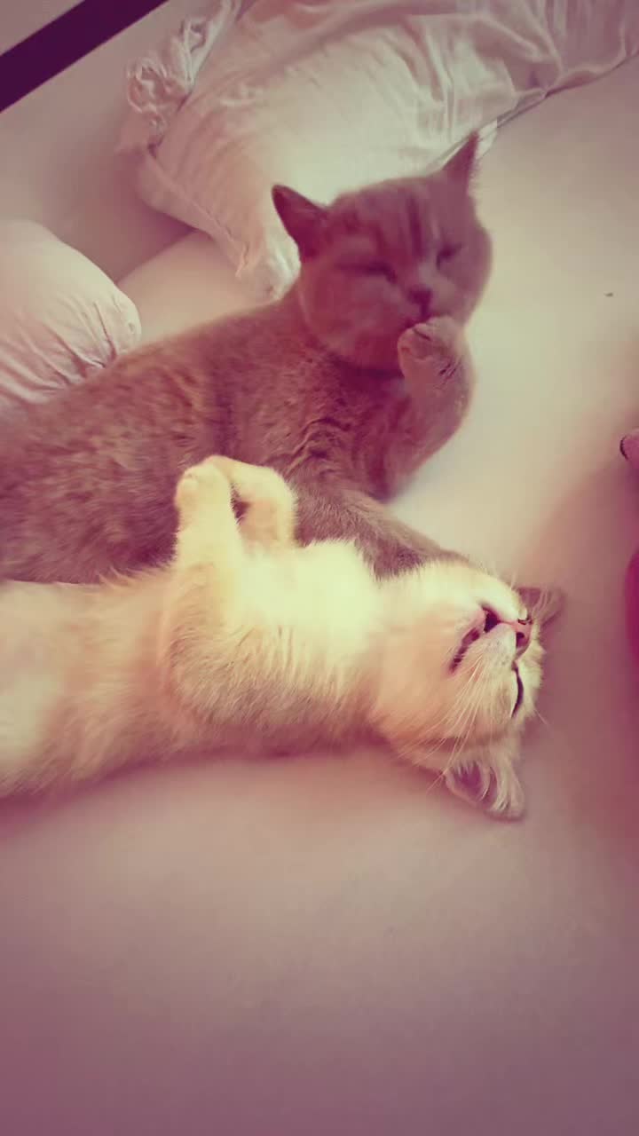 @𝐔𝐬𝐞𝐫&rsquo;🐬