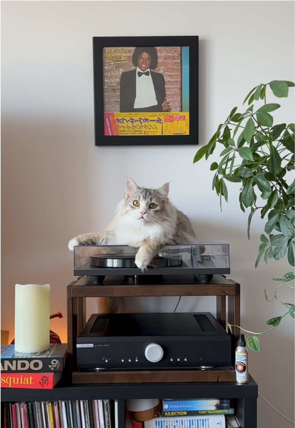 @Leon The Vinyl Cat