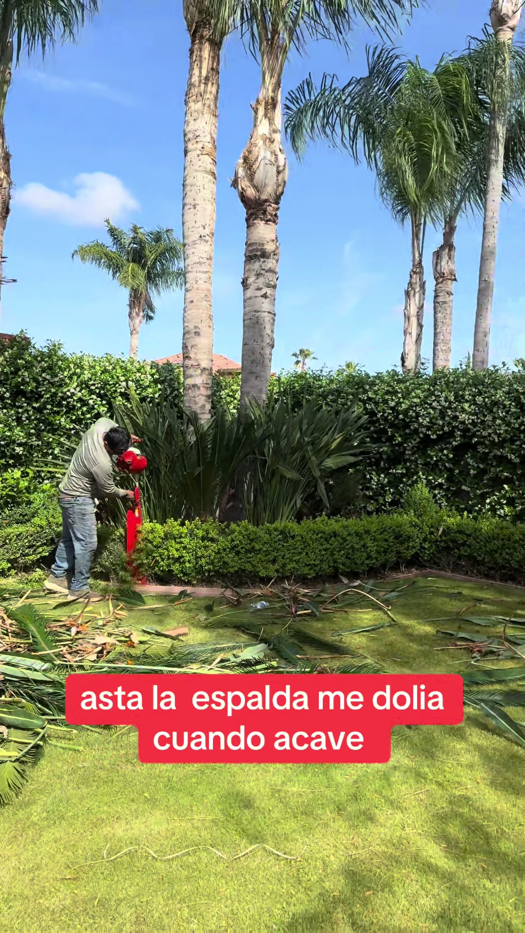 @Carlos  Scissors hands