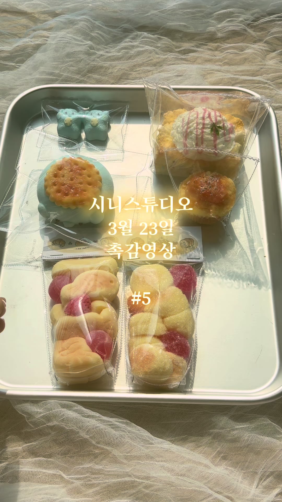 @시니