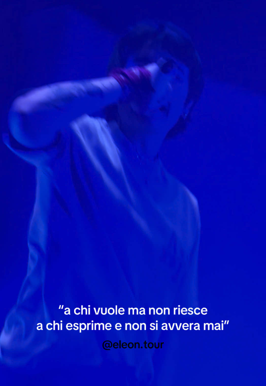 @eleonora 🎫