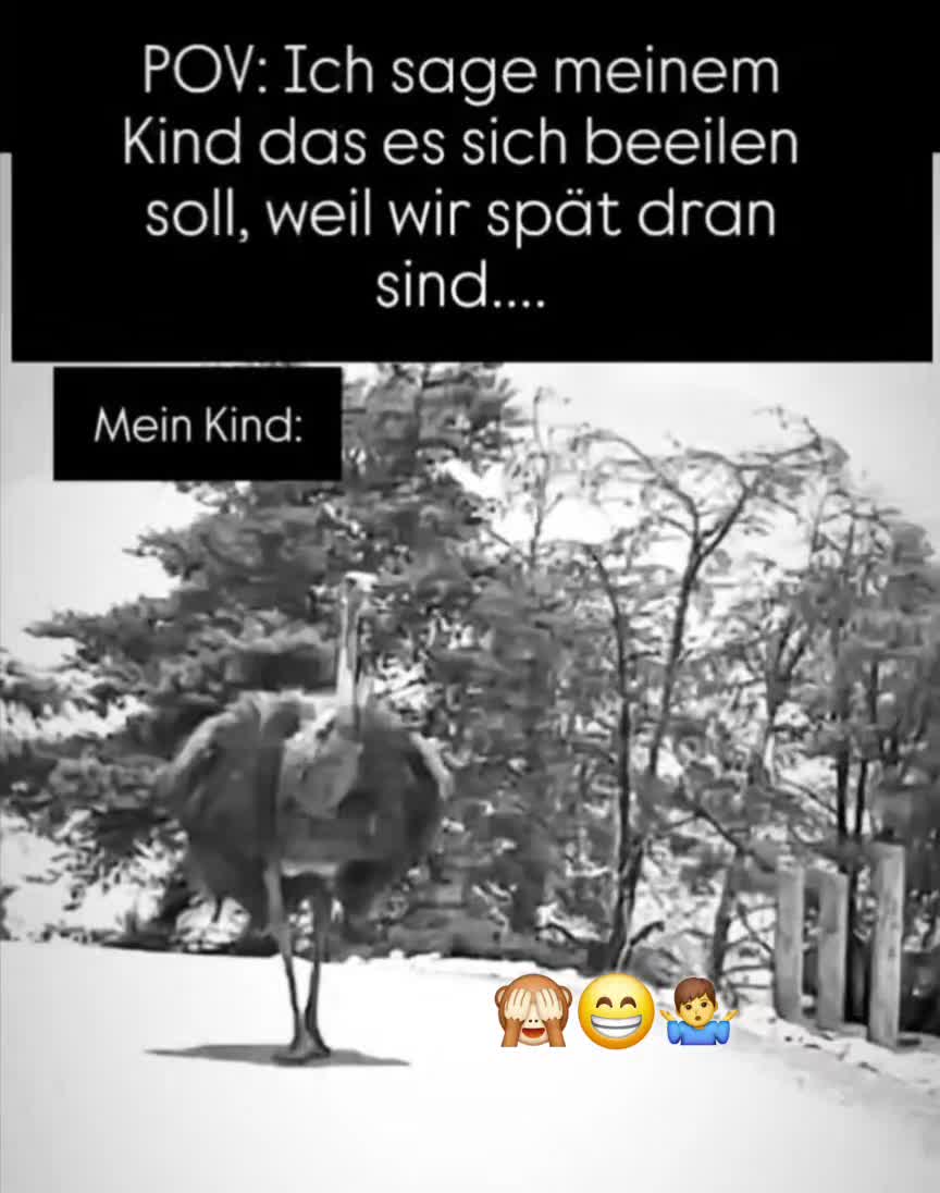 @Sonnenschein76🌞♥️