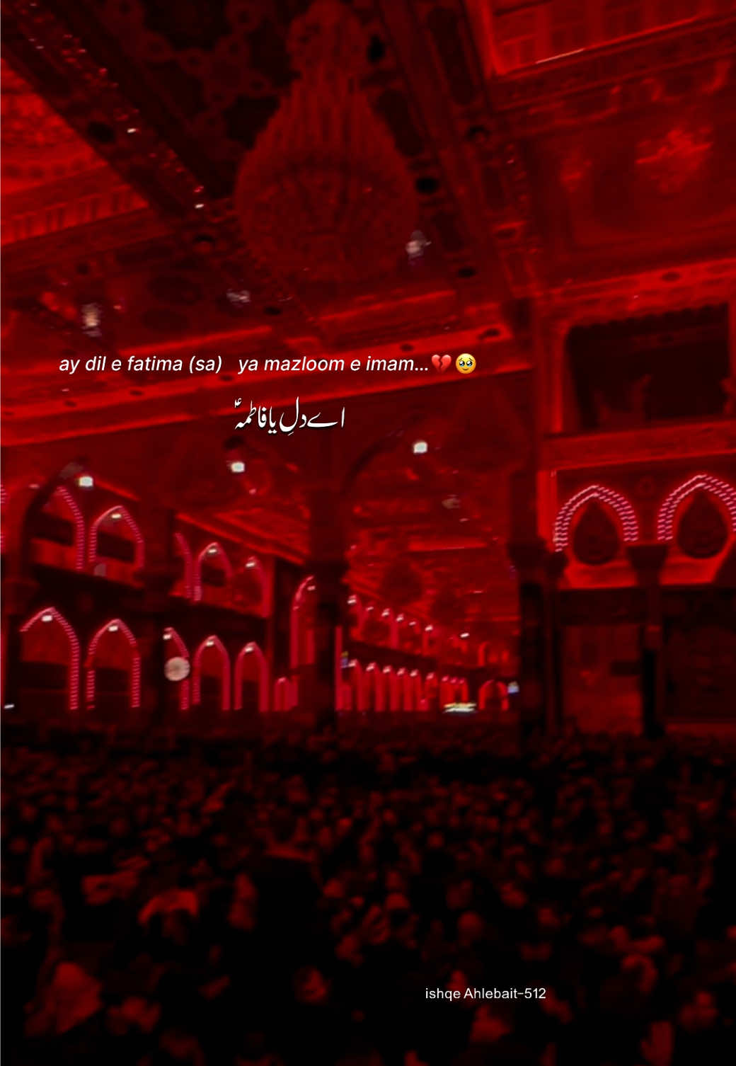 @~!;🤎✨سید زادہ