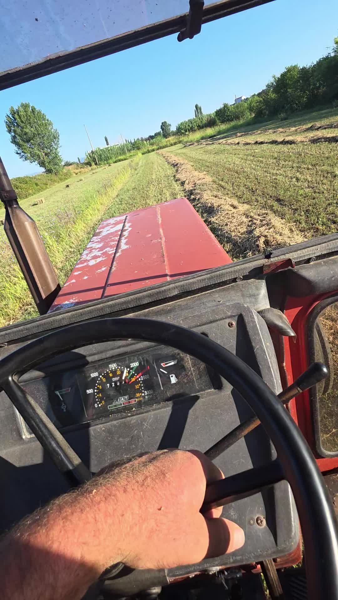 @Klodi Gazulli