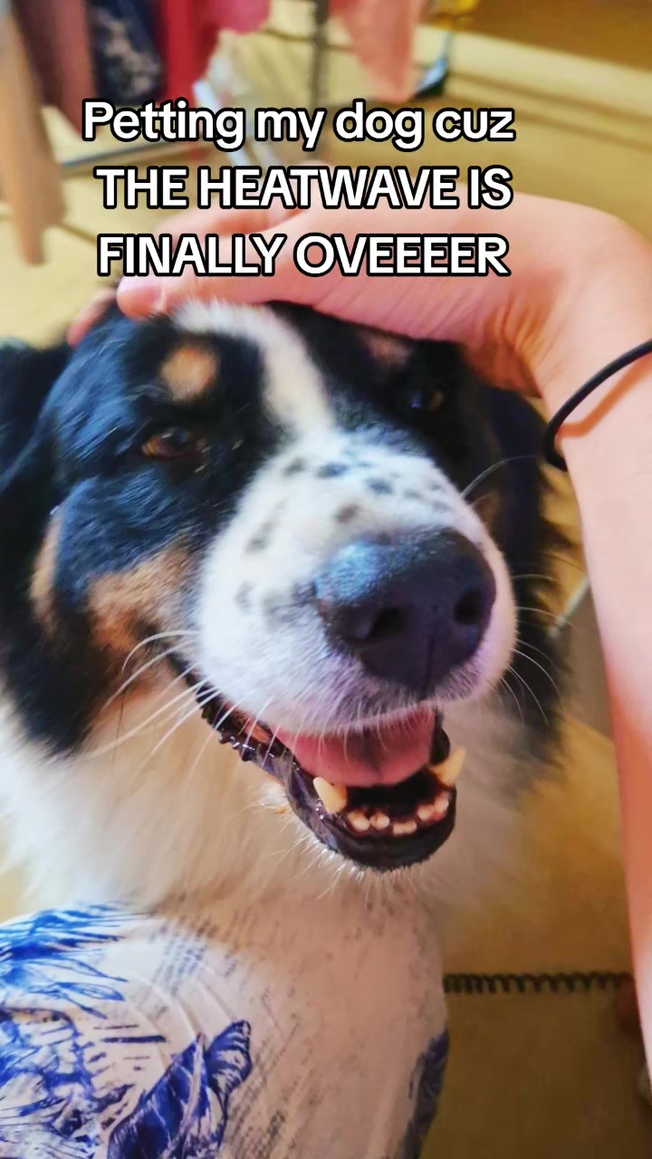 @Lofi the Aussie