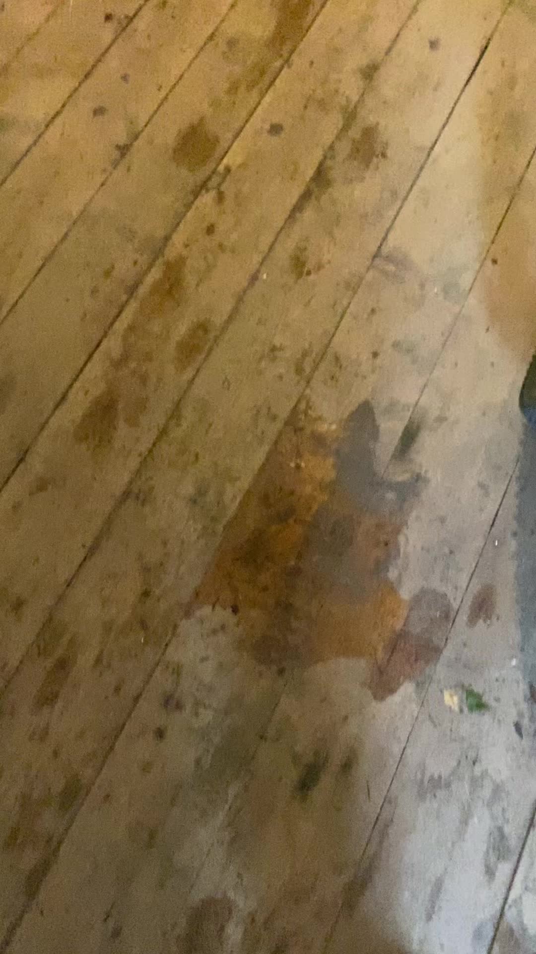 @Ciller Na wangwu