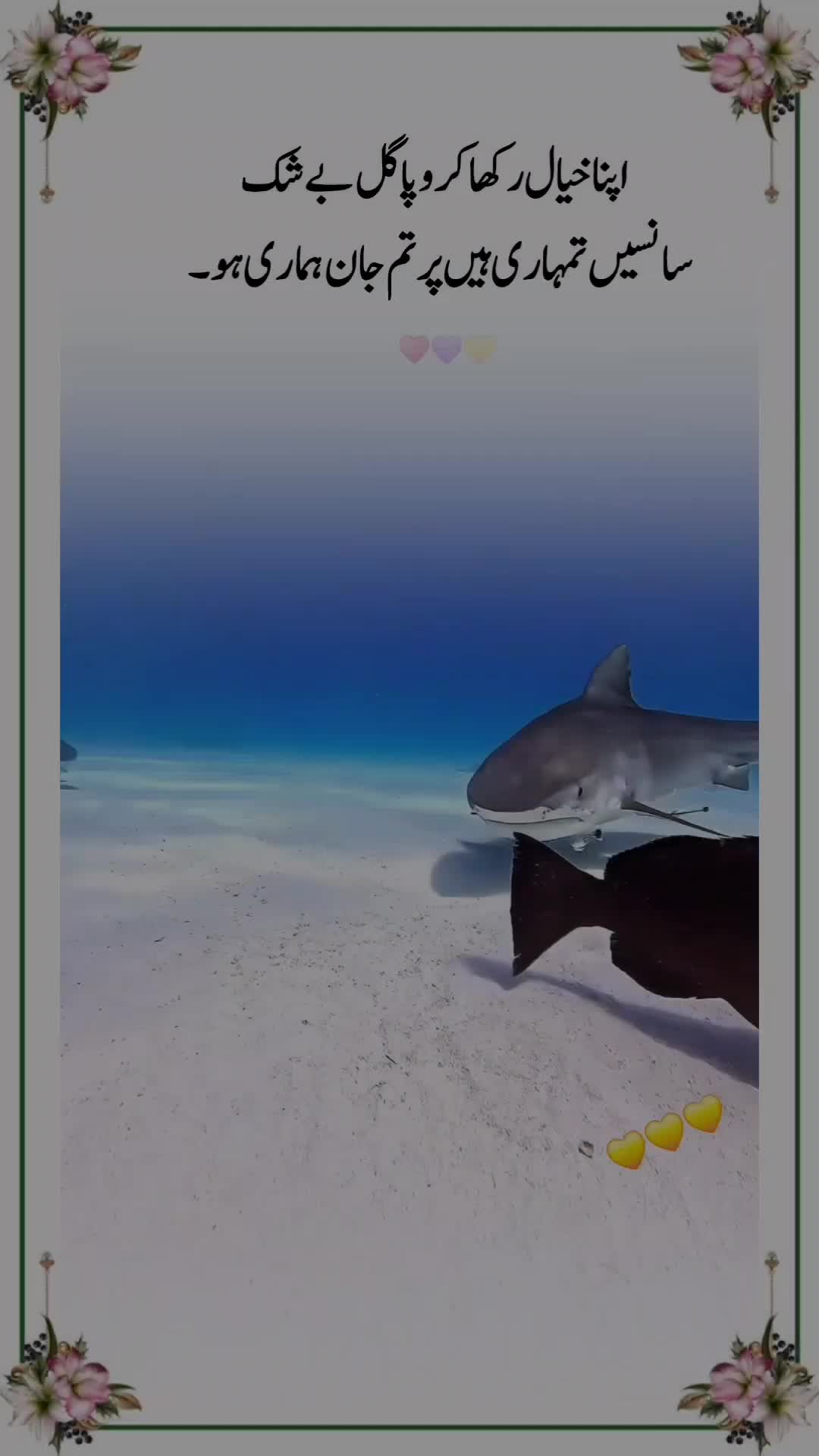 @💔𝐈𝐬𝐡𝐪 𝐊𝐢 𝐒𝐚𝐳𝐚😭