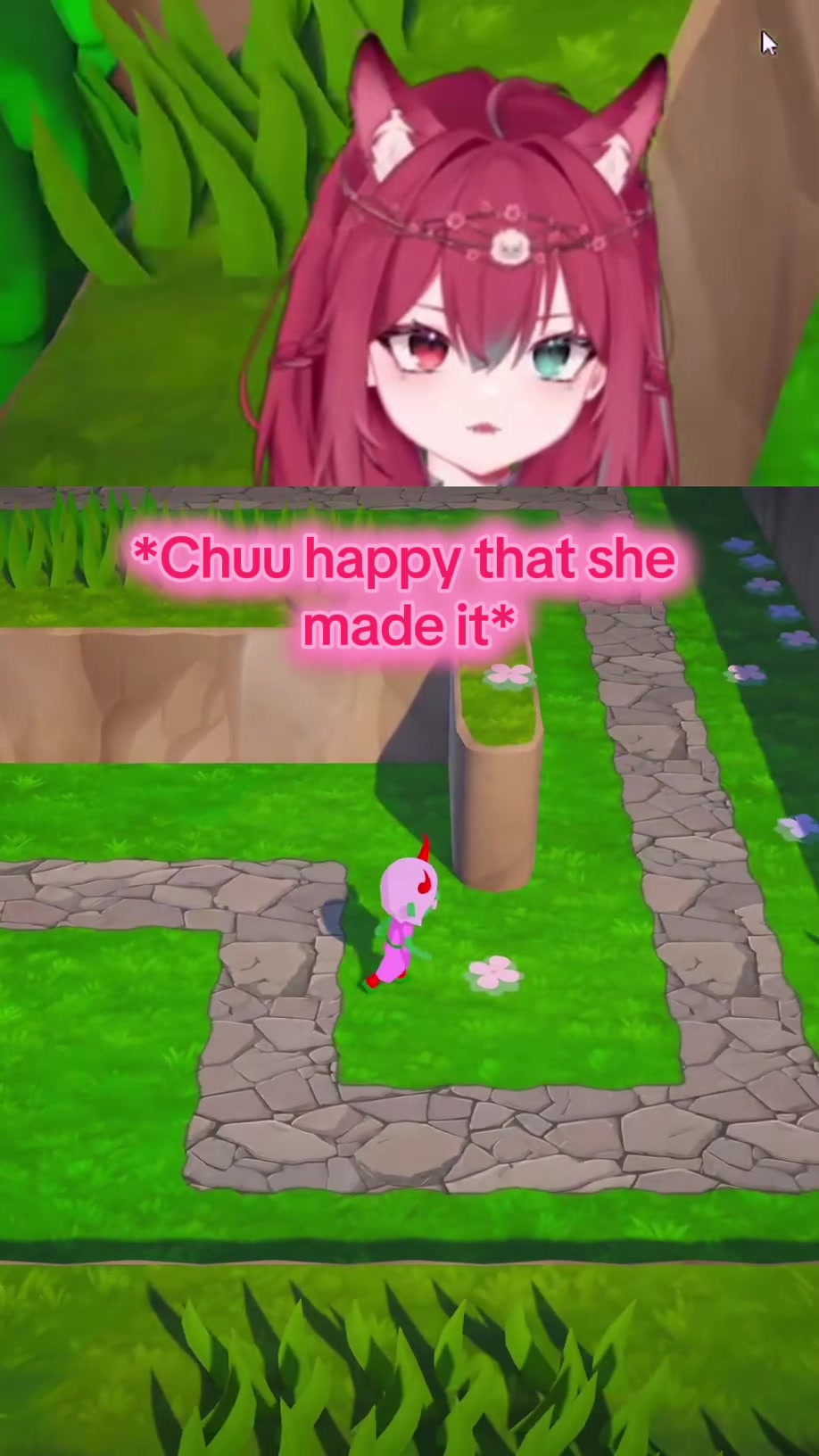 @Chuuupaca