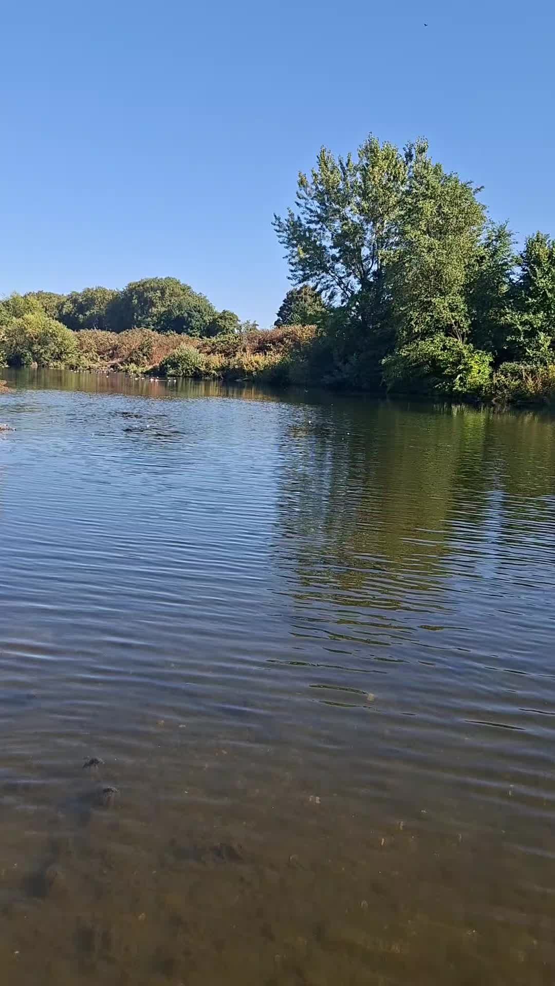 @Kasiunia 🇵🇱🇩🇪