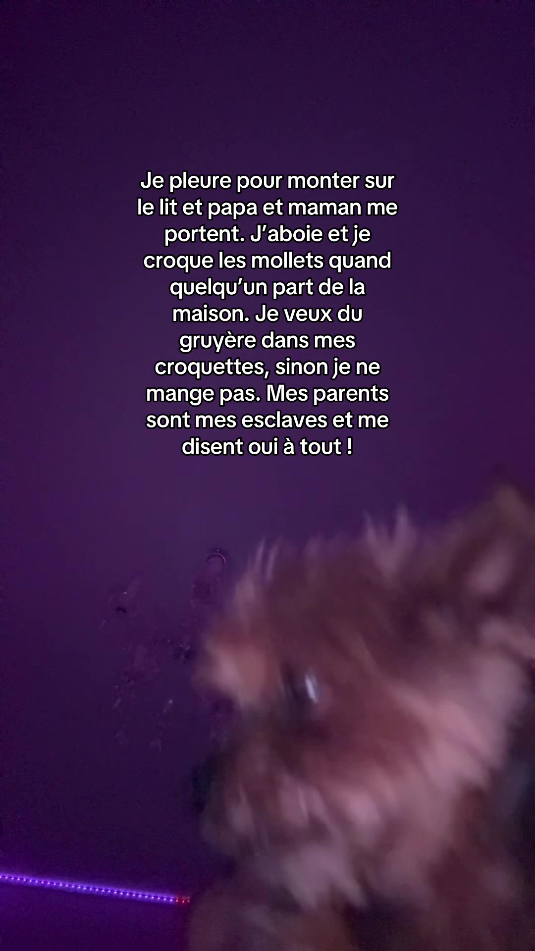 @ambreplouwy