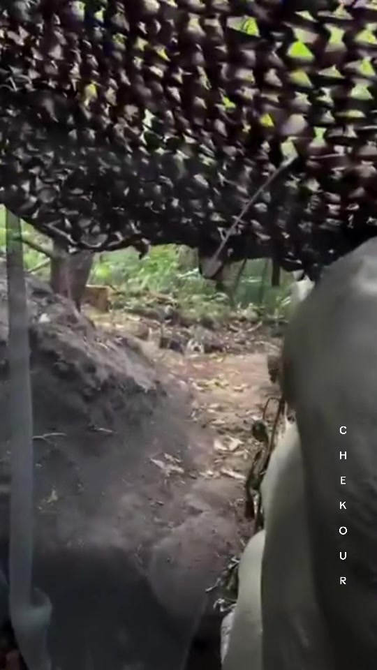 @ЧЕКУР Z 🇷🇺🤙🎻💀