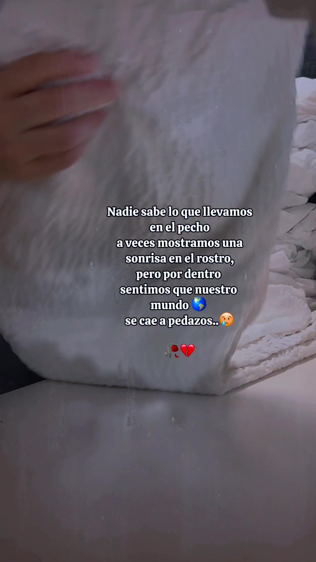 @Daniela Gallardo