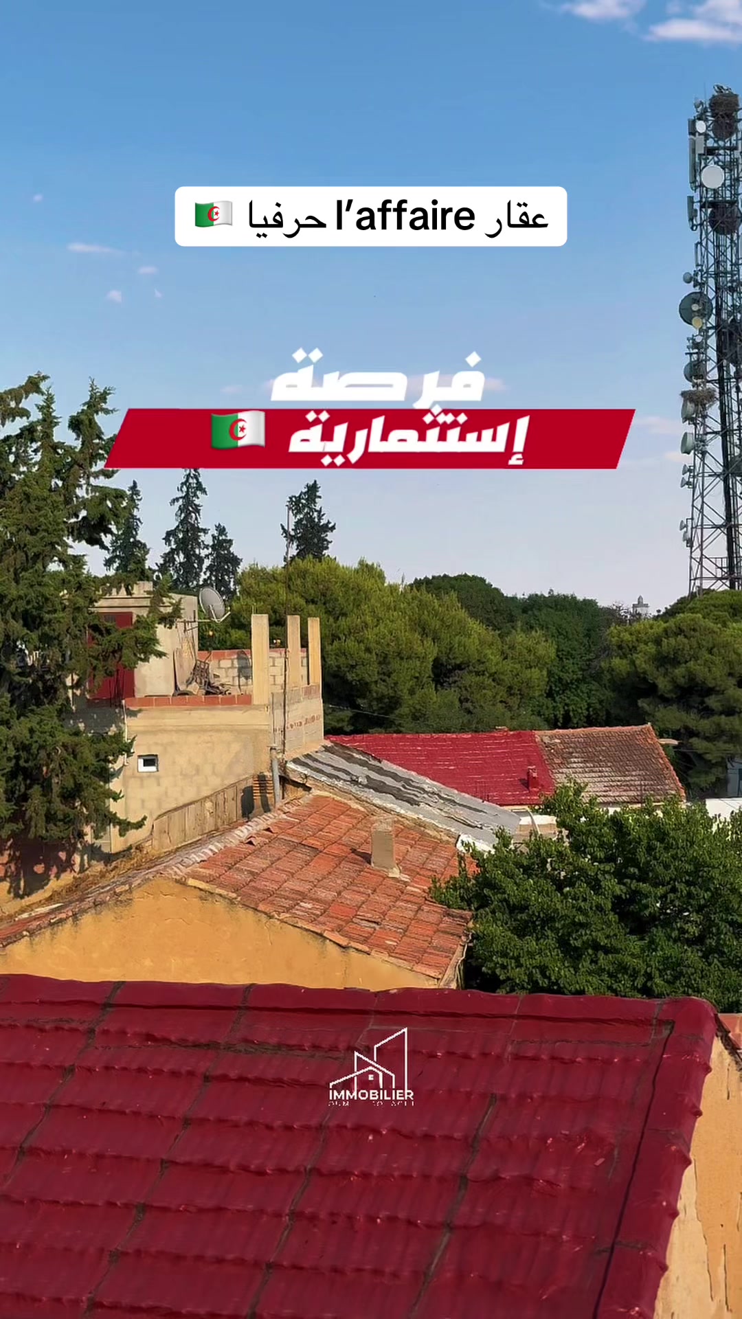 @immobilieroumelbouaghi