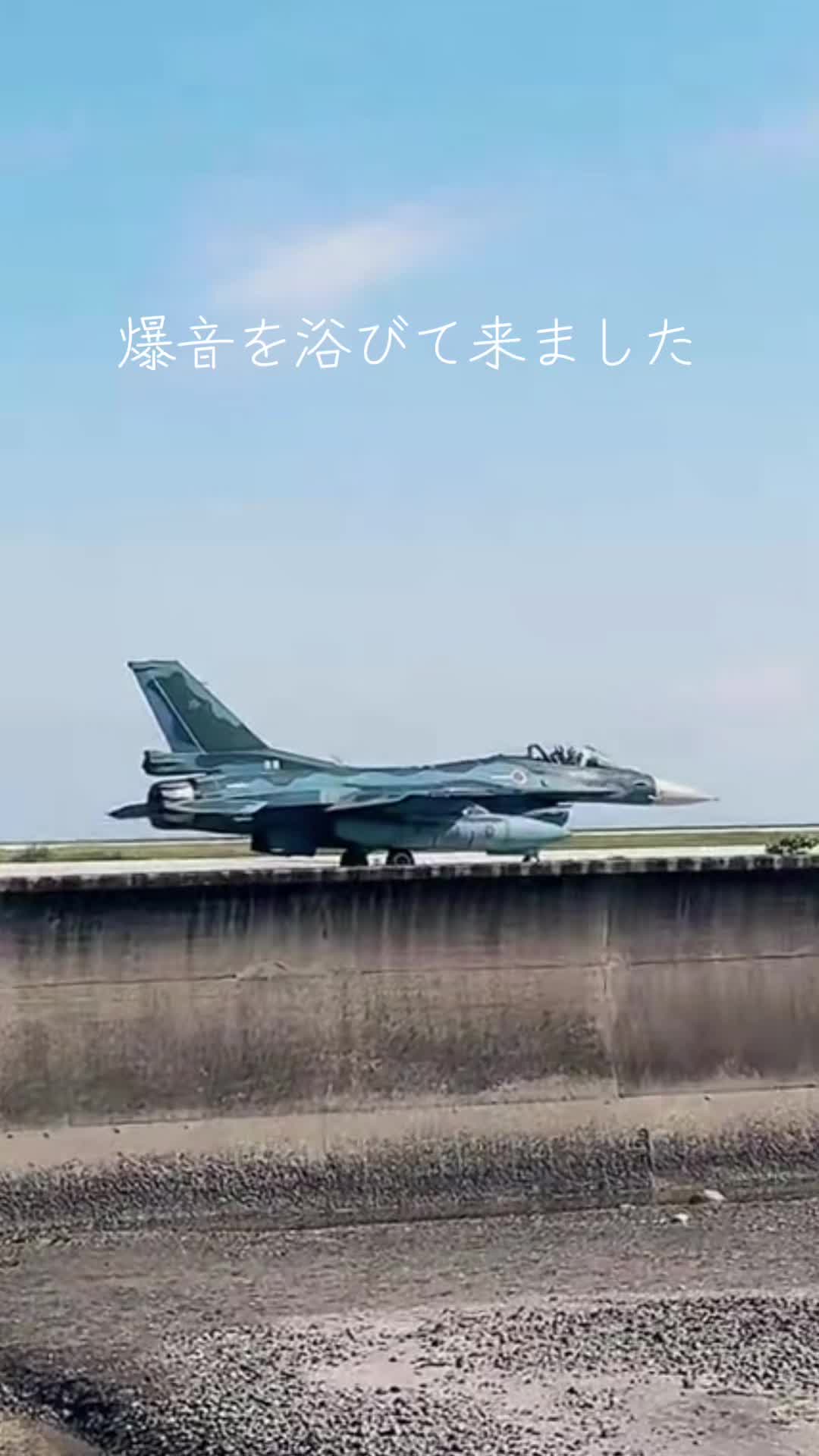@まこやん✅(公式)