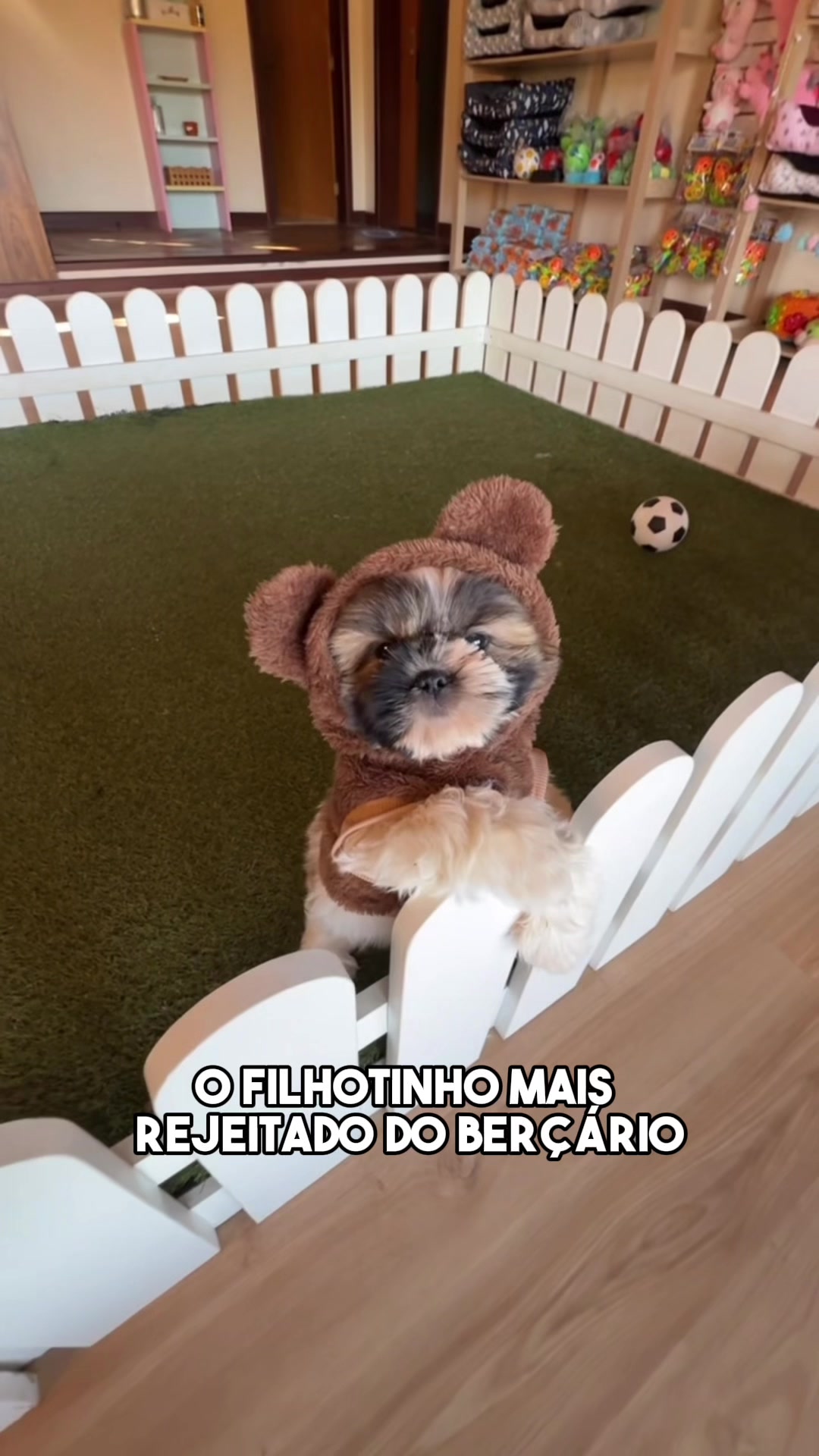 @Casa dos Ursinhos