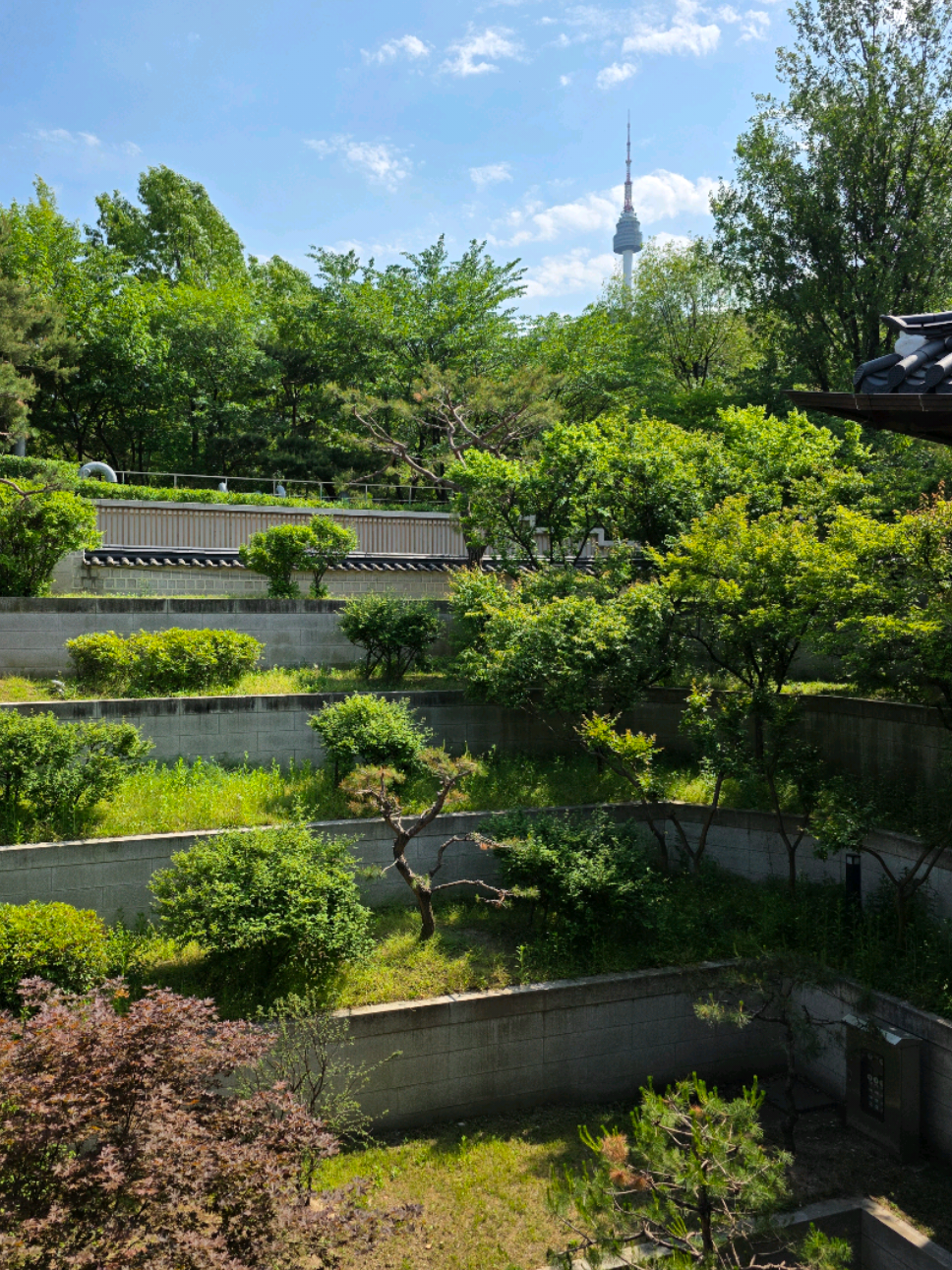 @Lou Ann | Seoul & Travels