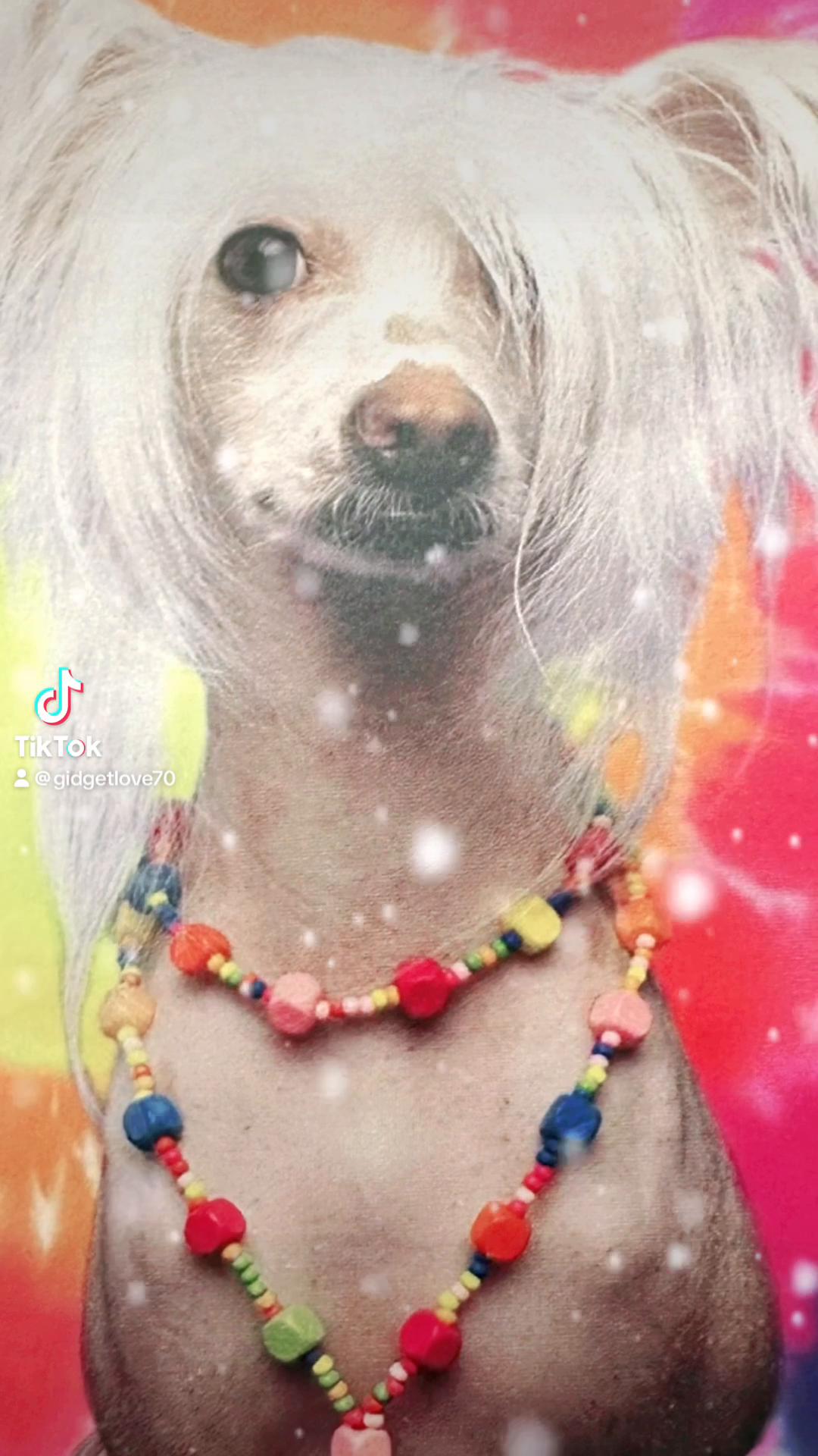@Gidget Love
