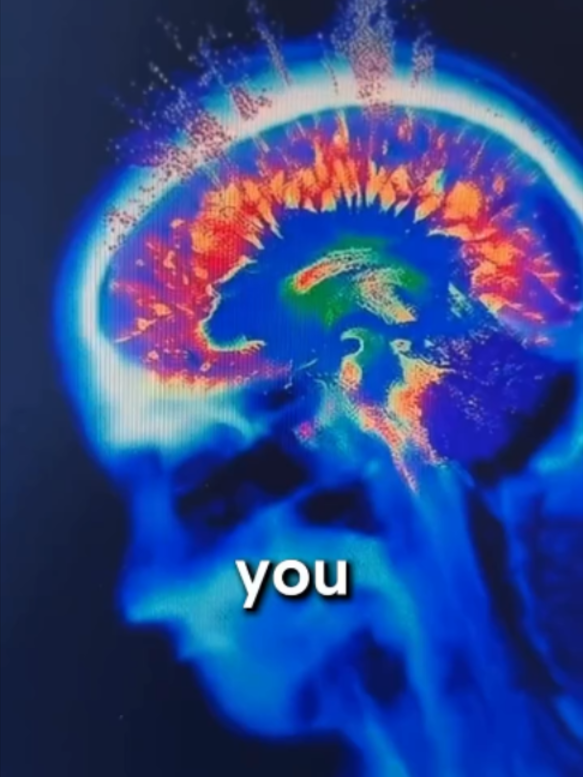@ILLUMINATED MINDZ
