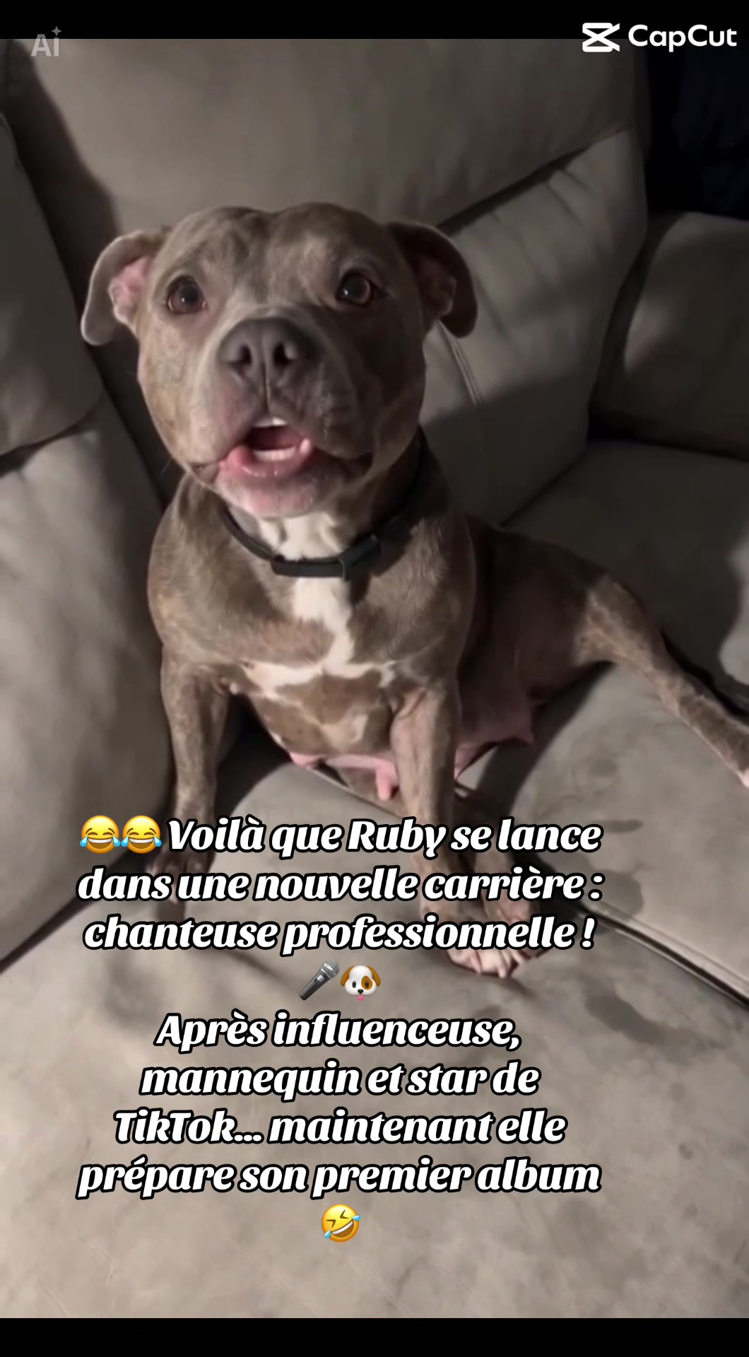 @rubylove_staffie94