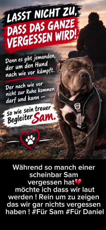 @daxter_the_bulldog