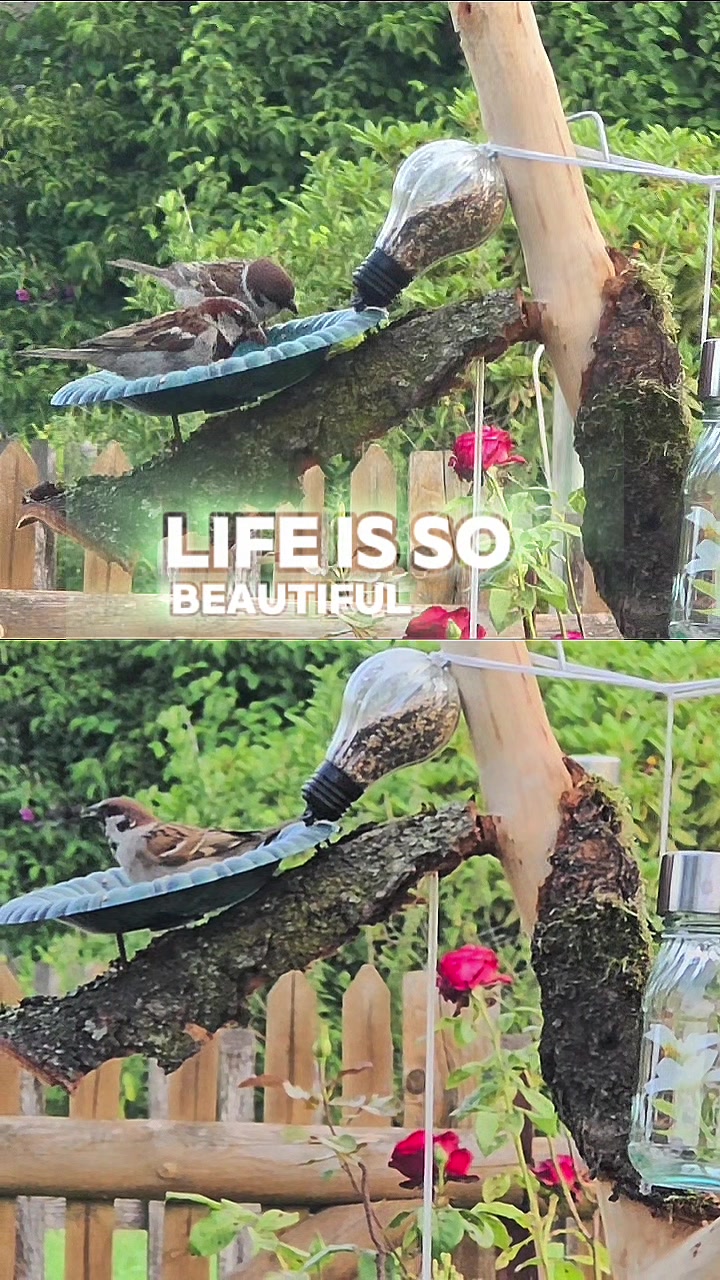 @𝙂𝘭𝒐𝐰𝗡𝐚𝘁𝙪𝐫𝒆𝑨𝗿𝘁 ❀