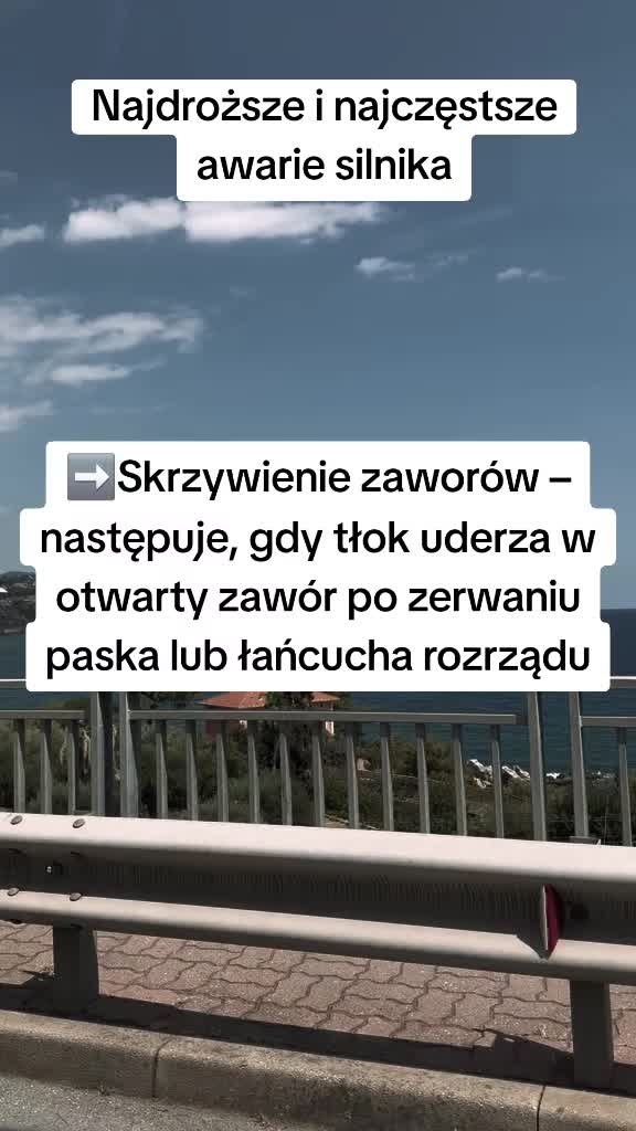 @MiszMasz