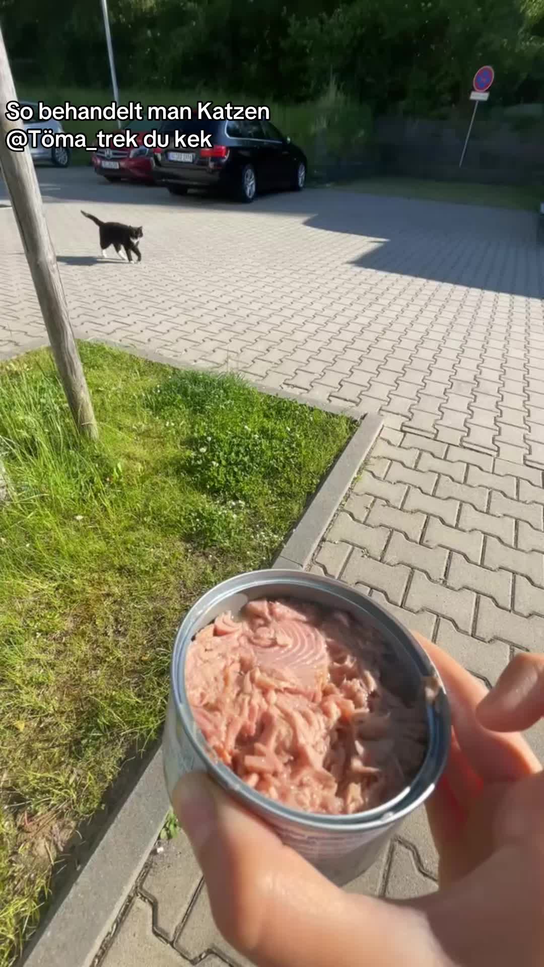 @𝒮