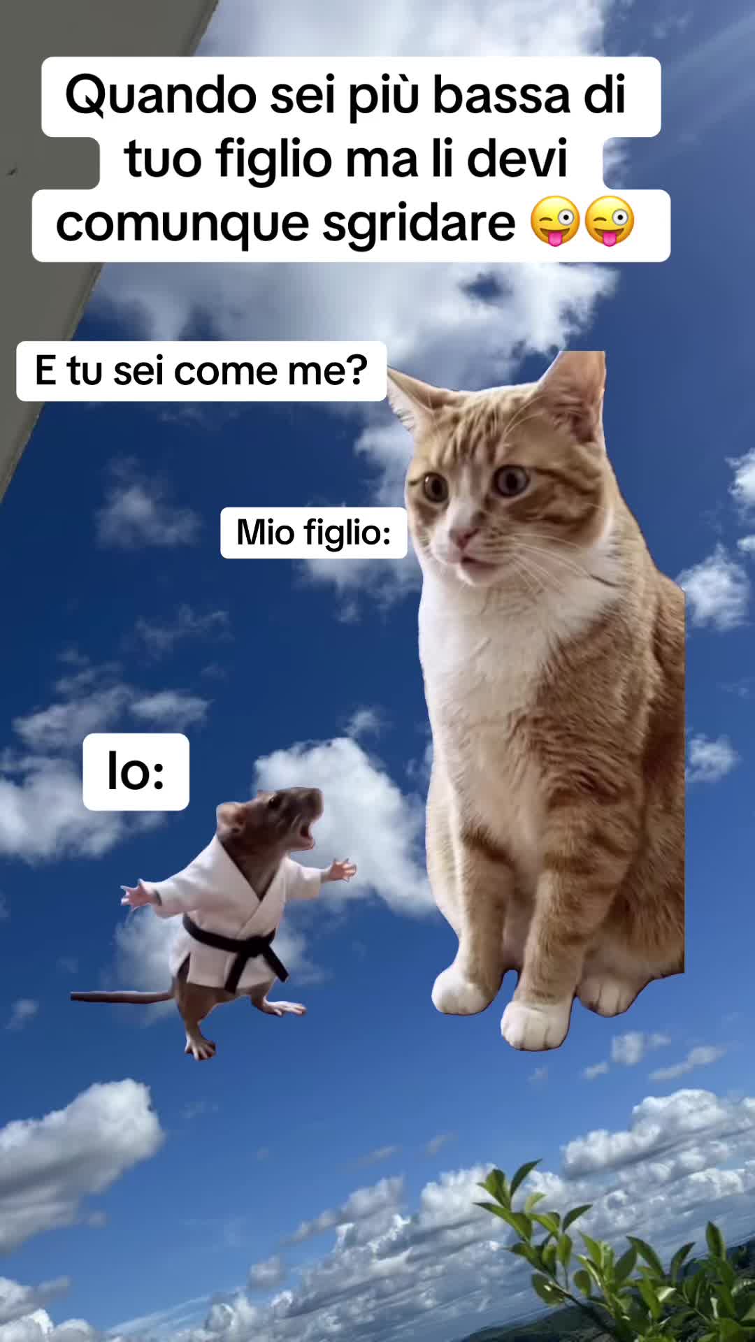 @LOLSempre😜😜