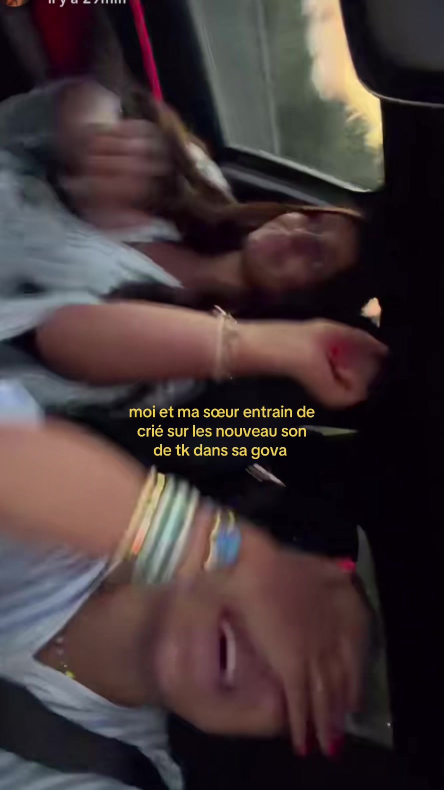 @camélia