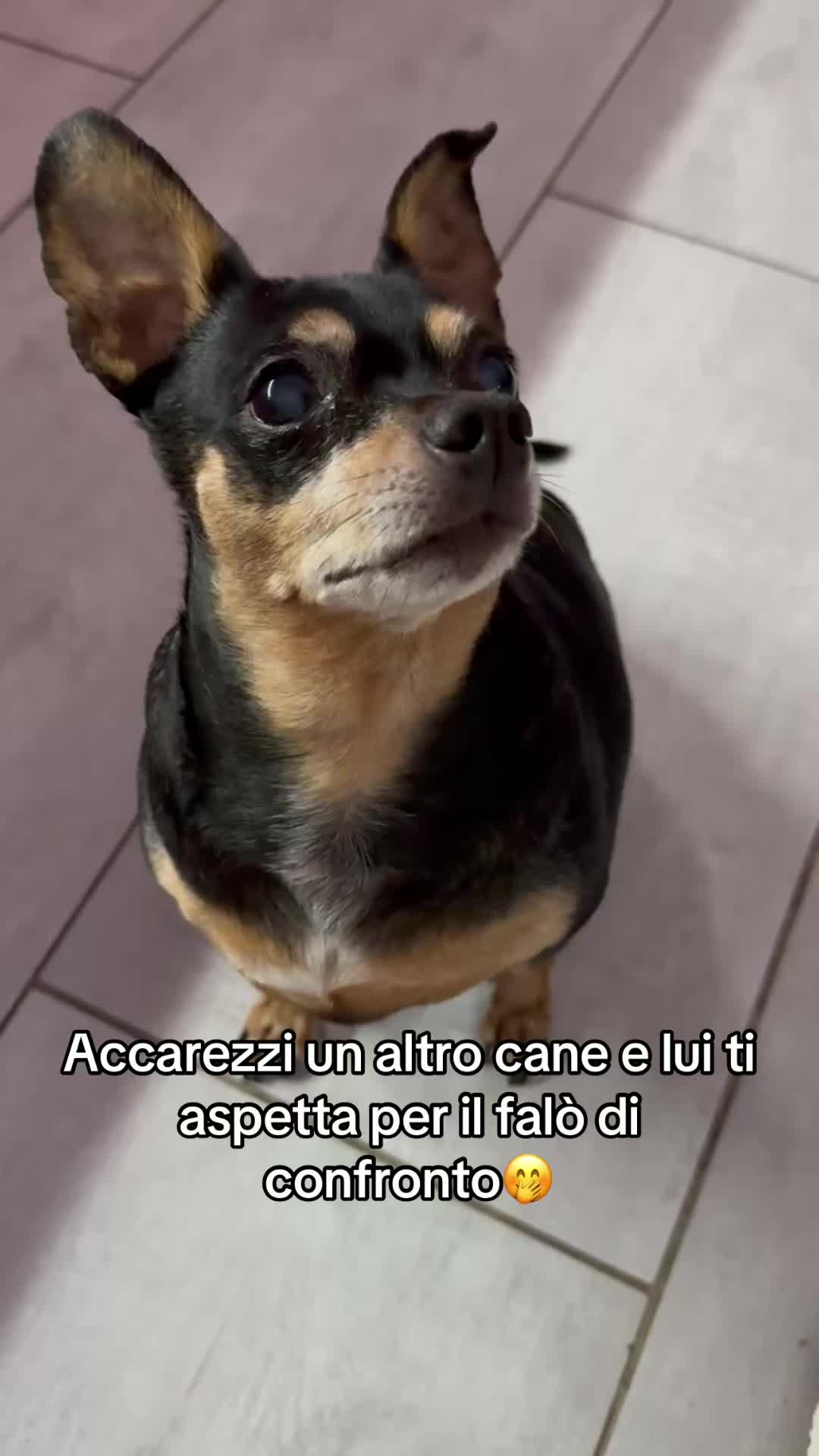 @💎Emanuela80🐾💎