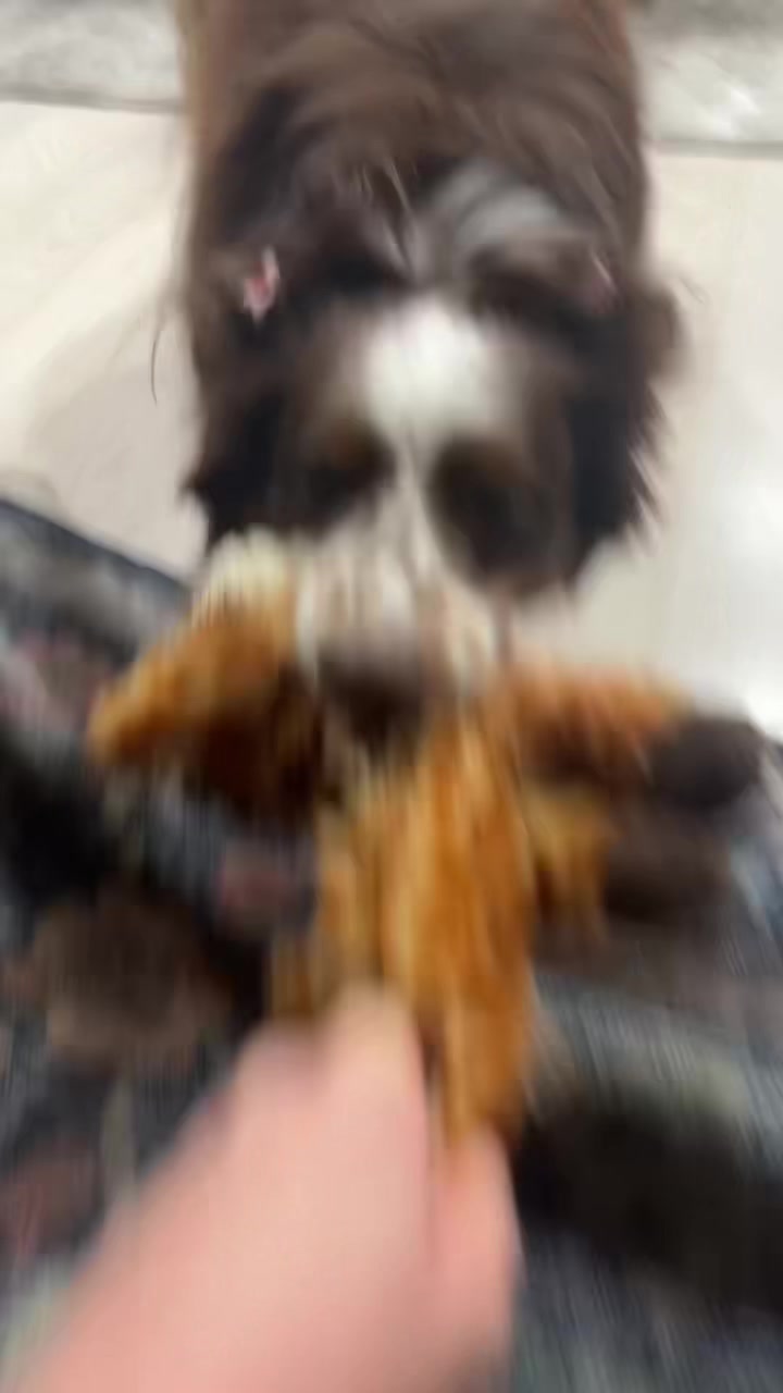 @ShushuTravels