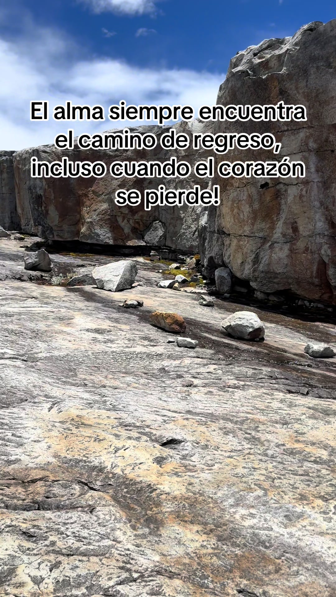 @Yone Corro