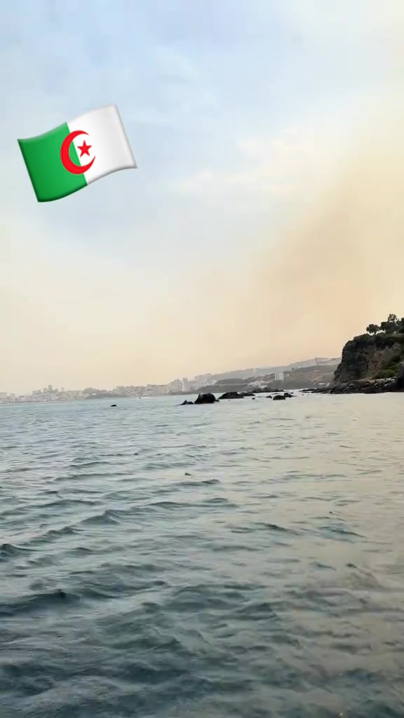 @Nina dz 🇩🇿69🇵🇸❤️