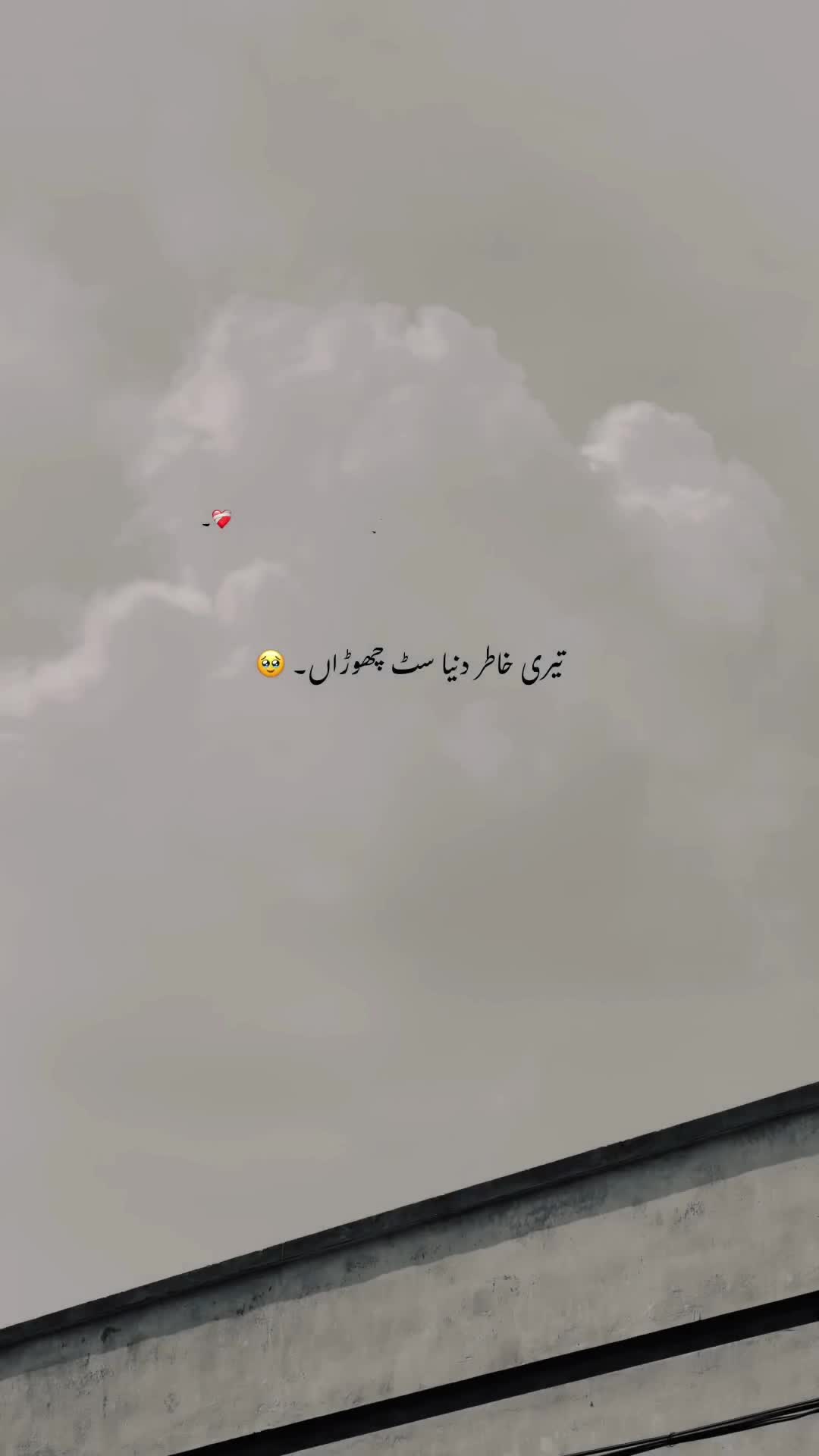 @💸 ⋆