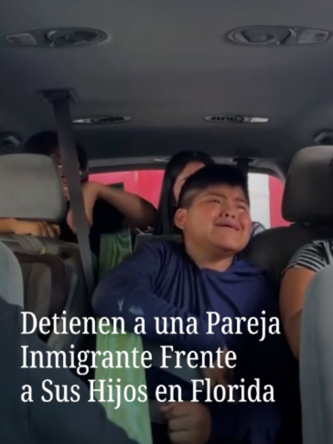 @N+ UNIVISION