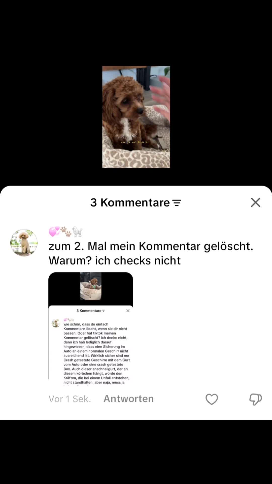 @💞🐾🐩