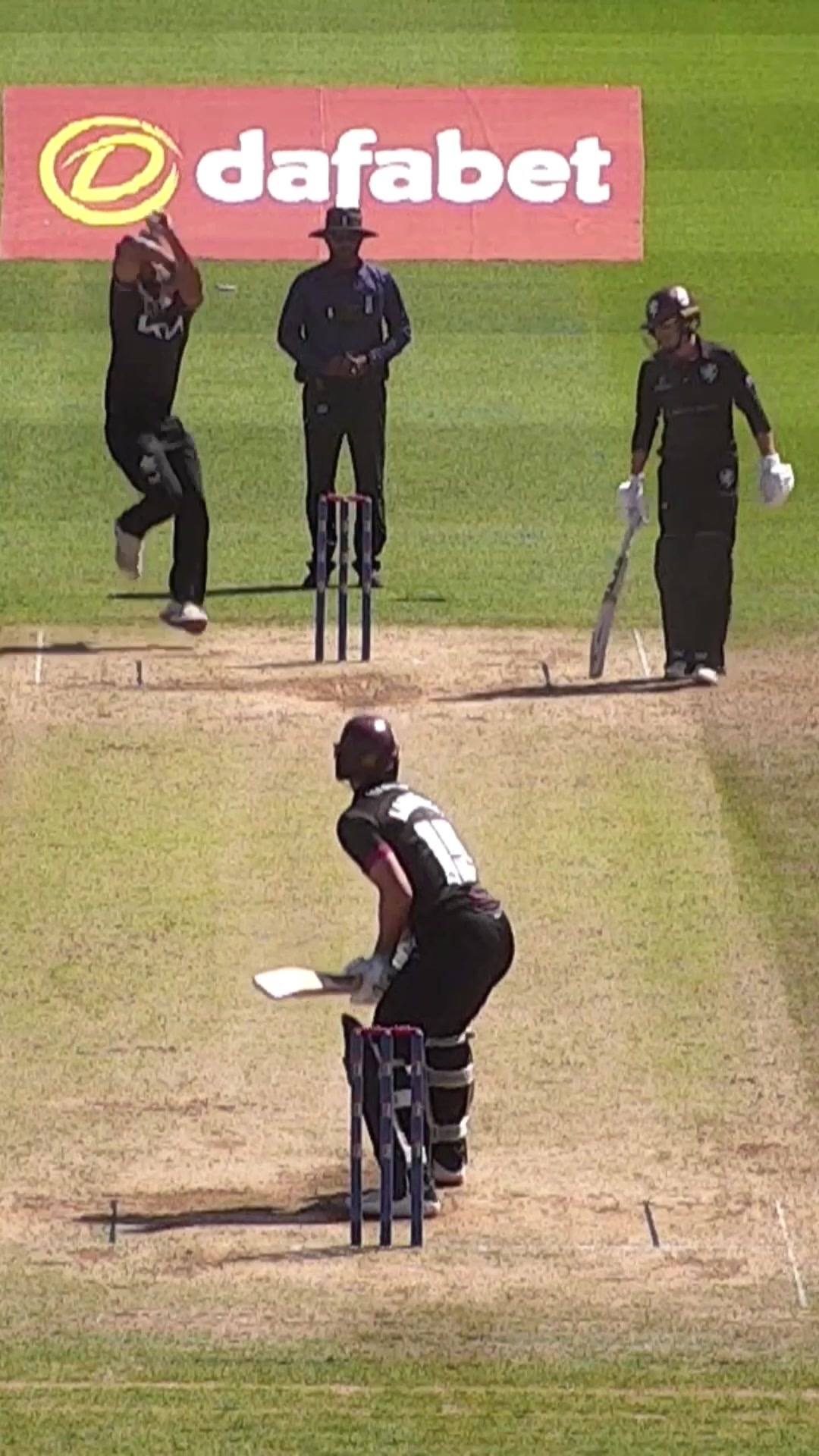 @Somerset Cricket