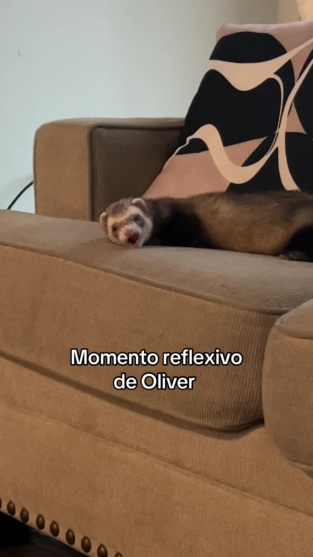 @Oliver&Stella