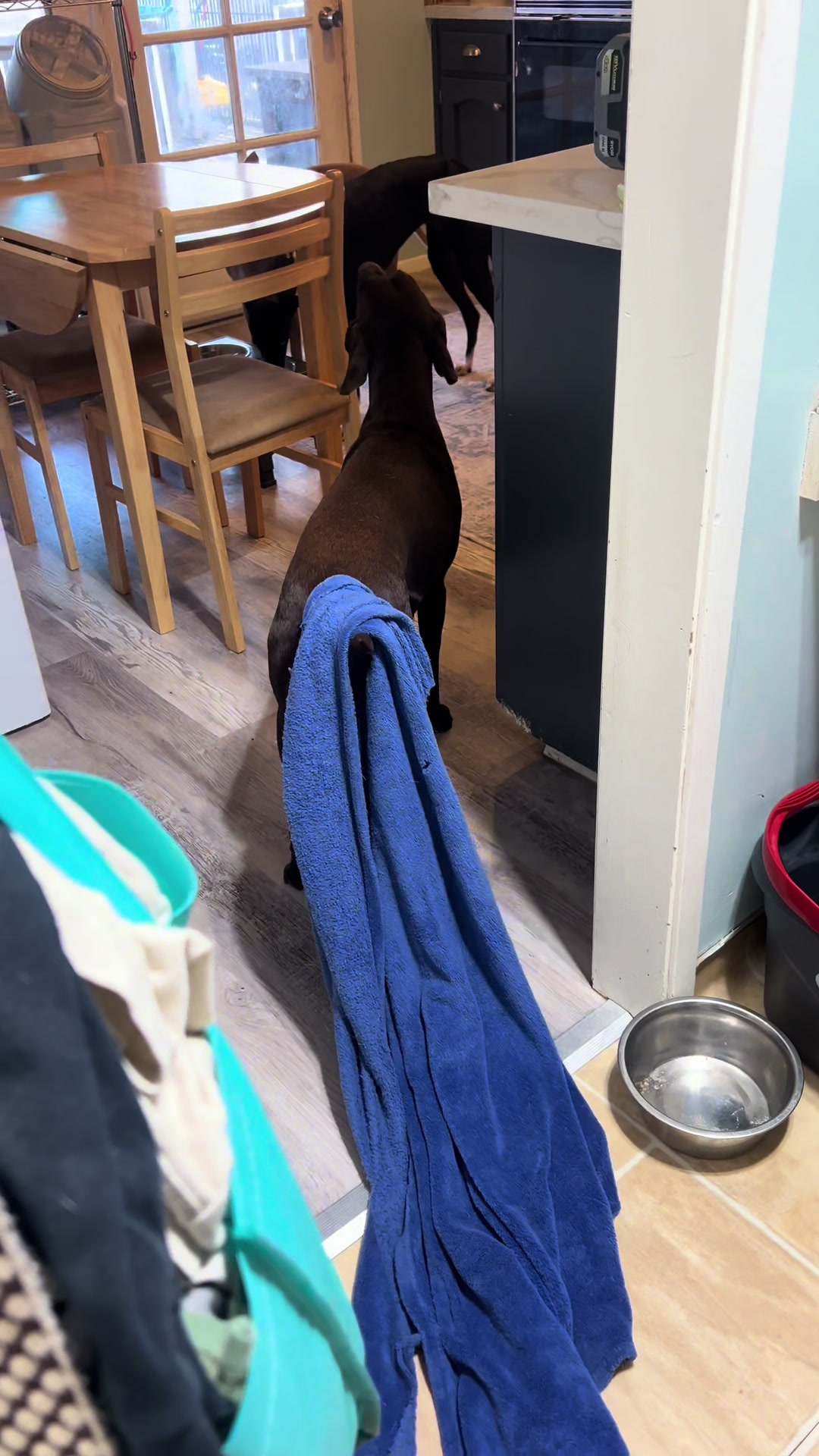 @alice_the_gsp
