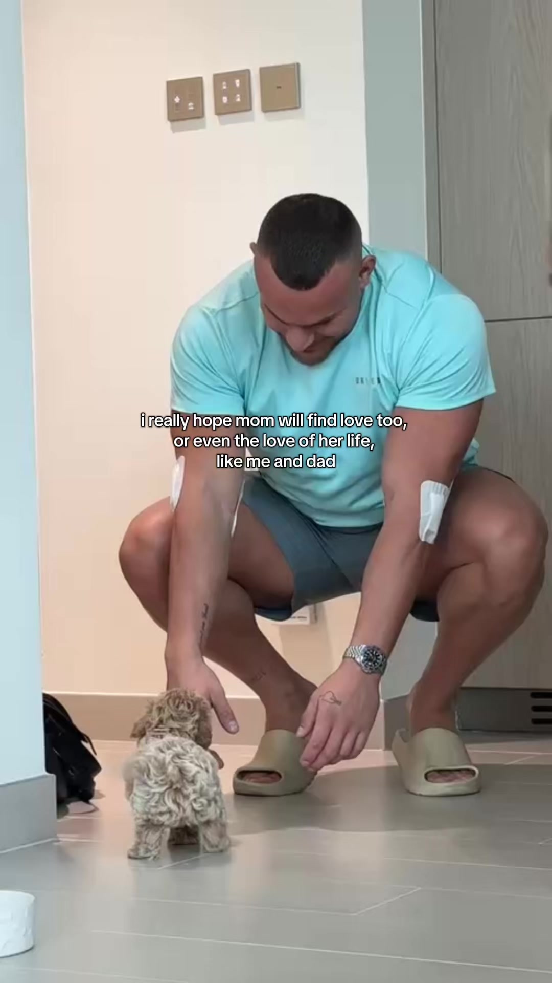 @Mochi the Maltipoo 🐻