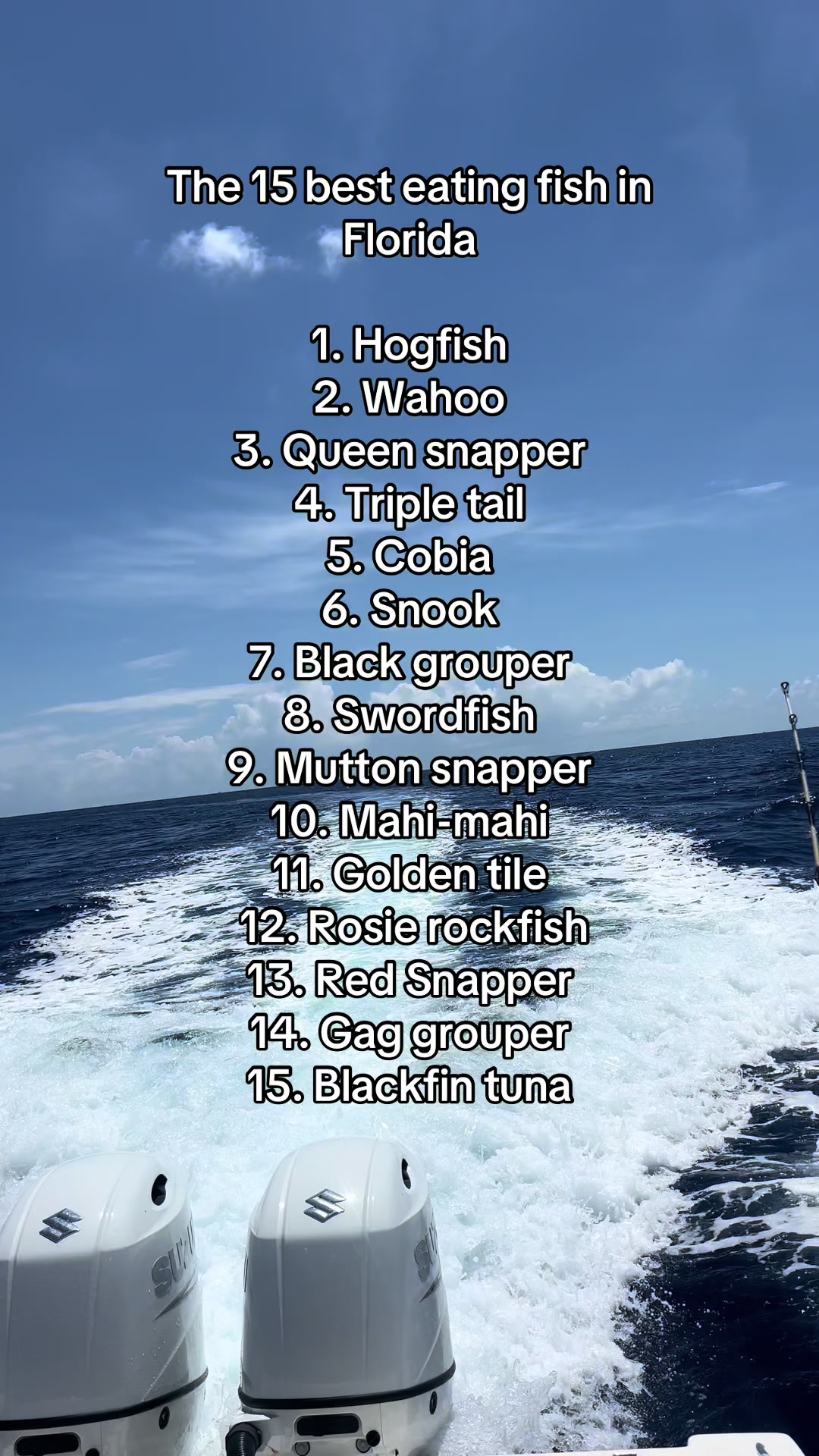 @🏝️girlpirate🏴☠️🧜♀️ 🎣Capt