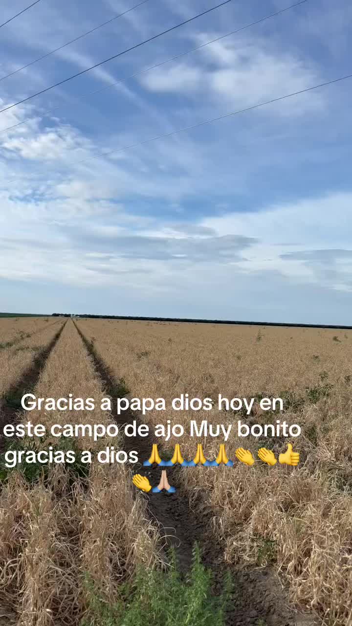 @Piedad Ayala