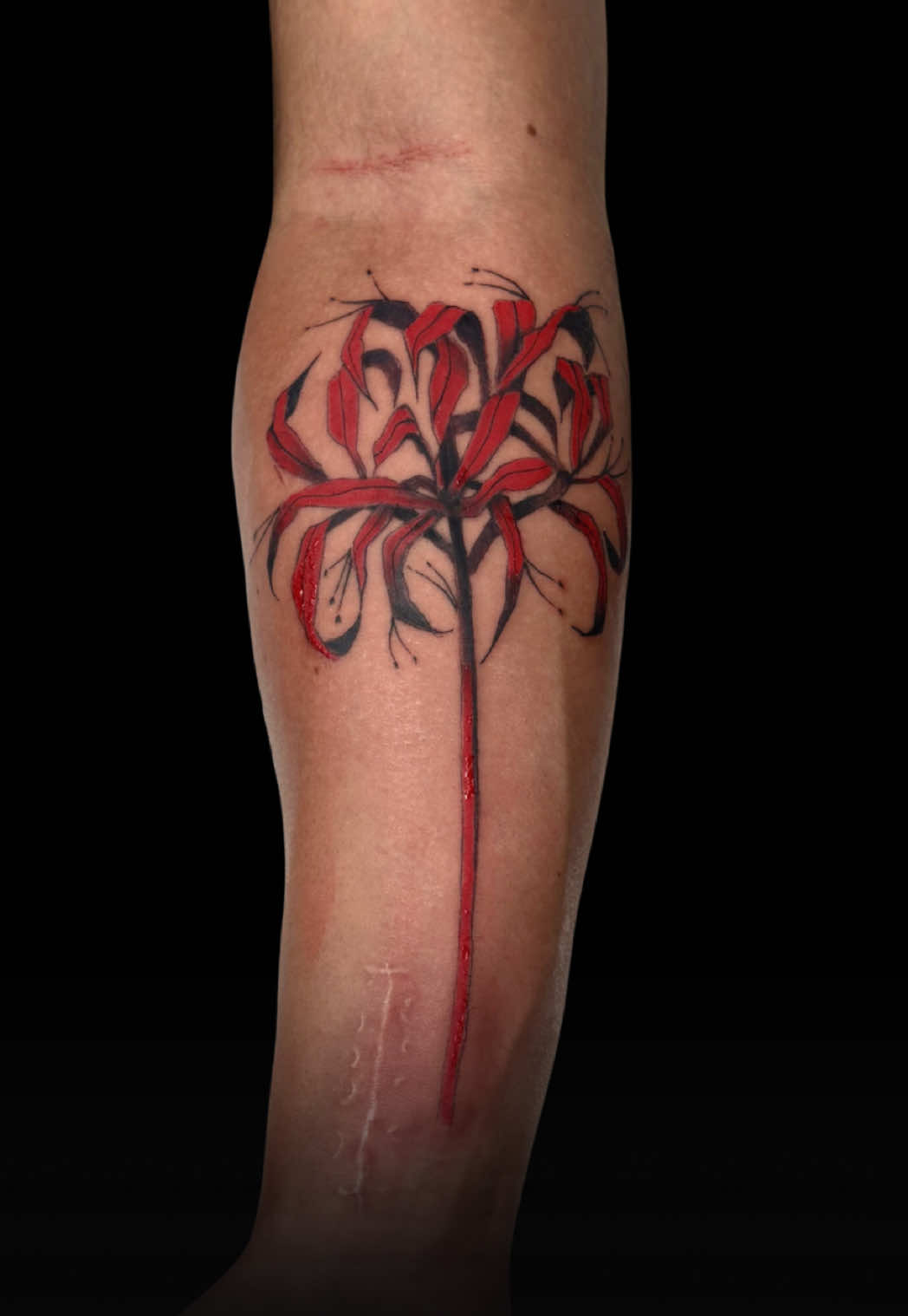 @O&rsquo;Malley Tattoo Nice