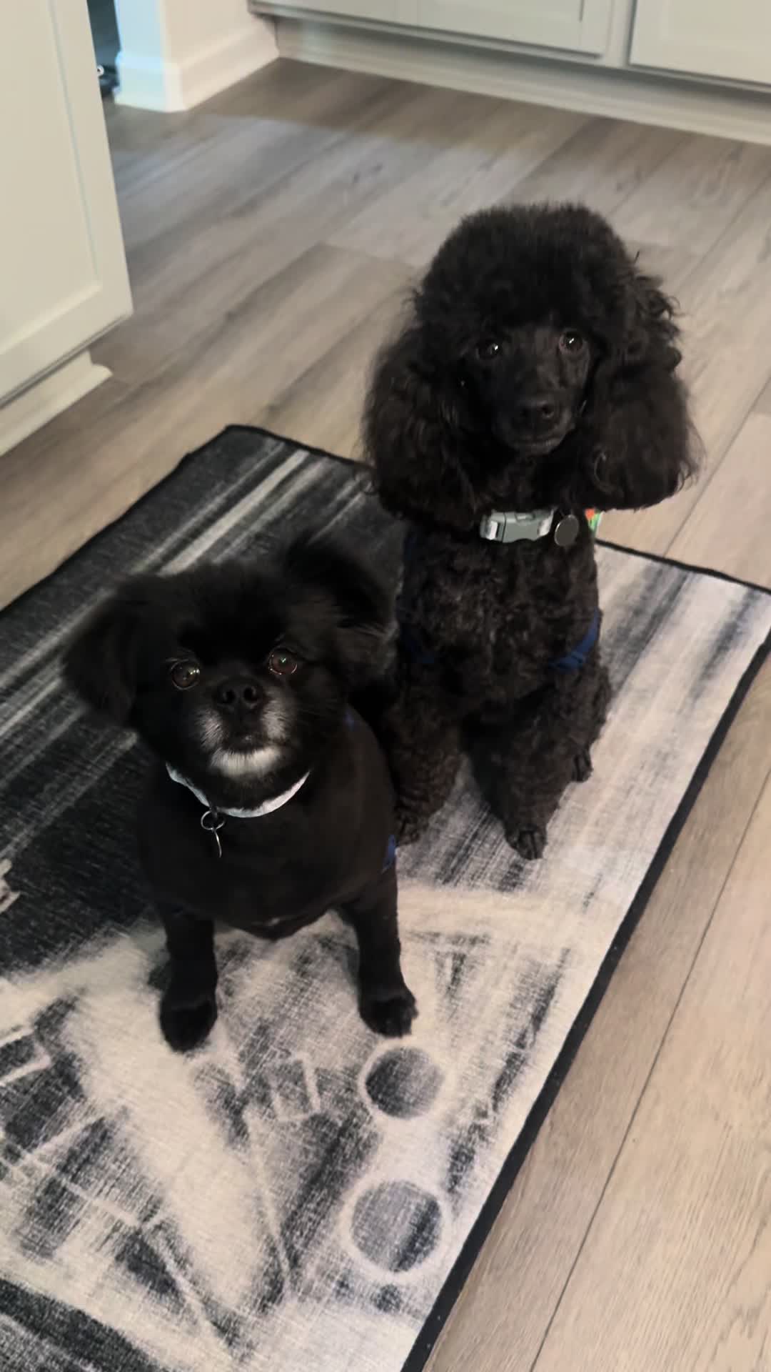 @cashandbentley_